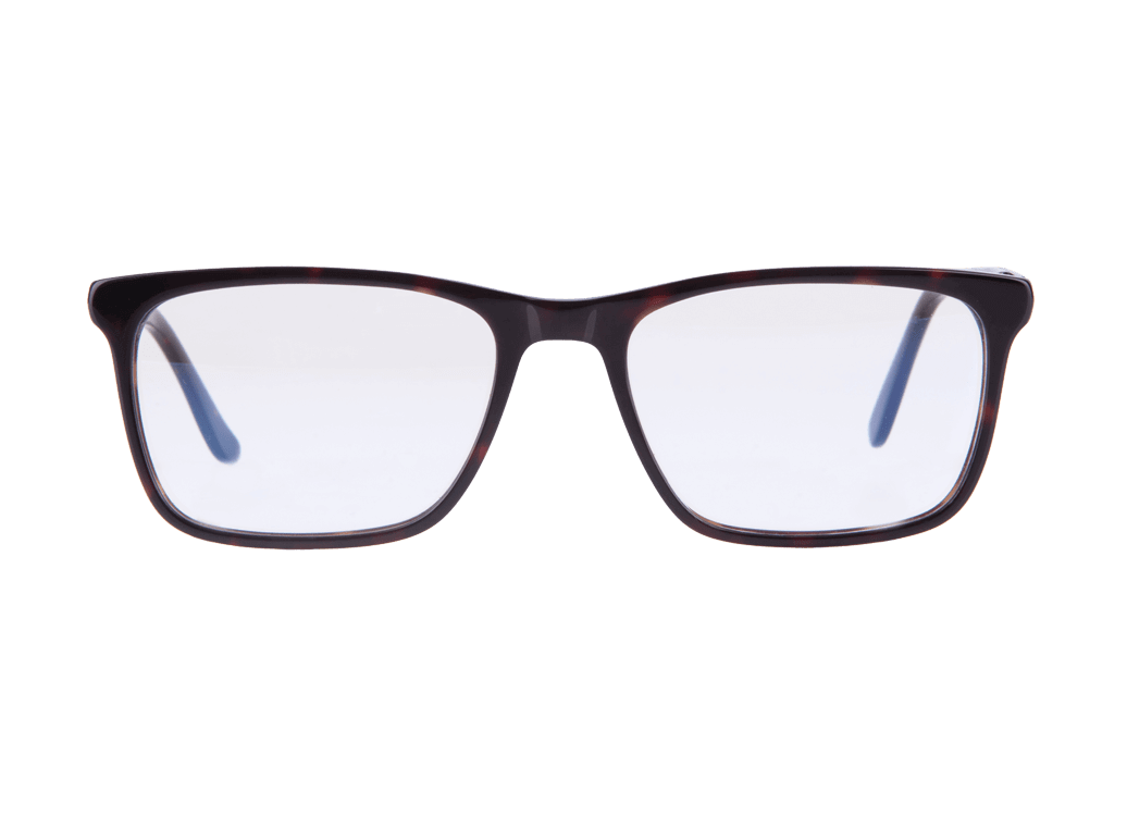 angelina bondone monturas anp271 c4 1