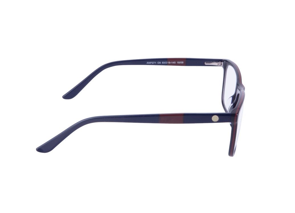 angelina bondone monturas anp271 c6 3